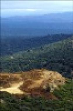 Carbonate Calcium Ore $0