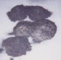 FULLER S EARTH POWDER $0