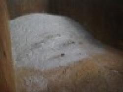 Mines And Minerals $0