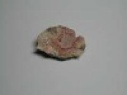 Tantalite ore $0