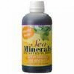 Steam Coal & Ores $0