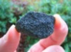 CHROMITE ORE, $0