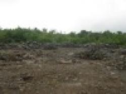 Sell Chromite Ore $0