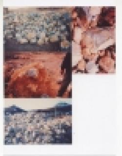 Sell-Oxides Of Metal 73. 72% $0