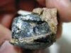 Sell Portland Cement $0