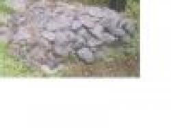 Sell Magnesite Ore $0