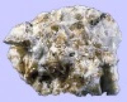 South Africa Tin Ore