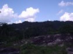 Indi-Iron Ore Fines Fe-58 $0