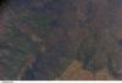 Sell Chrome 41.8% $0