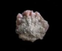 Fluorite specimen $0