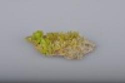 Fluorite mineral specimen $0