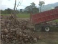 Titanium Ore (TiO2) $0