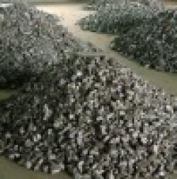 Tungsten Ore $0