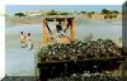 Chemical grade chromite $0