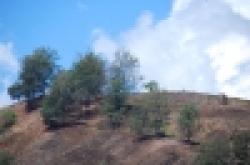 Chromite Ore And Other Mineral Ores $0