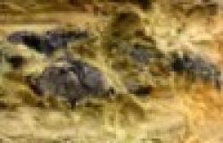 Chromite ore powder $0