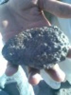 Sell Chrome Ore 42% Pakistan Origin $0