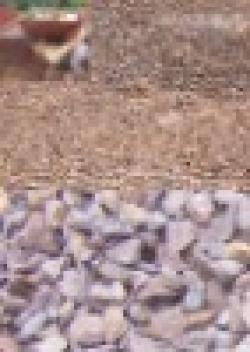 Brazilian Iron Ore 64.5% $0