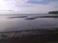 Iron Ore Fines Grade 62 $0