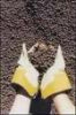 Sell Iron Ore, Hms, Used Rail $0