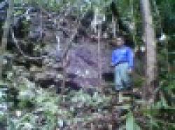 Round mild steel,iron ore,iron sand,used rail,pig iron,iron wire $0