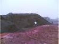 Sell Iron Ore Fines $0