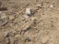 Sell Indian Iron Ore Fines, Fe63.5%, below 62.5% reject, 40,000MT/Month, CFR Main Port China, USD $60/MT , NO PERFORMANCE BOND $0