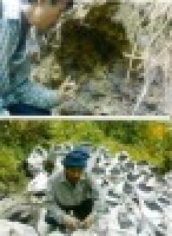 Available Manganese Ore $0