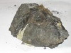 Manganese Ore $0