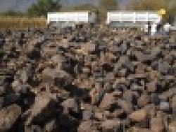 Manganese Ore 45% $0
