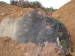 Manganese ore $0
