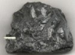 Mg0001 Manganese Ore $0