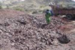 Steam Coal & Ores $0