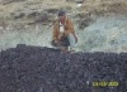 manganese ore, iron ore, antimony ore act $0