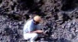 Thai manganese ore $0