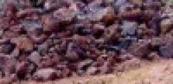 manganese & chromite $0
