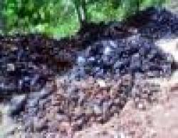 Sell Manganese Ore $0