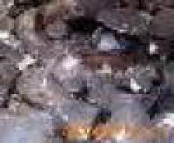 High Grade Manganese Ore Mn 55%up $0