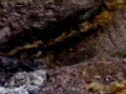 Sell Manganese Ore $0