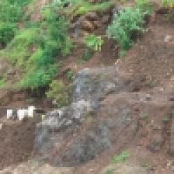 vietnam ferro mangan $0