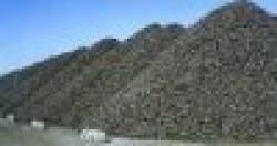 Government lab s Test $0