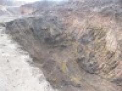 Lumpy Manganese Ore $0