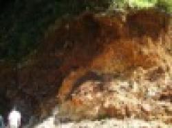 Manganese Ore 50% $0