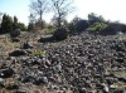 Manganese ore for sale $0