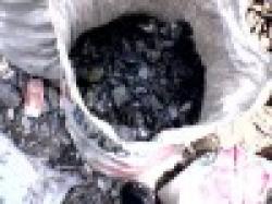 COPPER ORES (14%-18%) $0