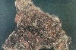 copper ore / iron ore $0