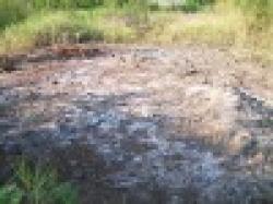 copper concentrate $0