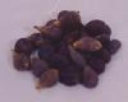 Palm Kernel Shell $0