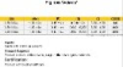 PIG IRON for STEEL WORKS $0