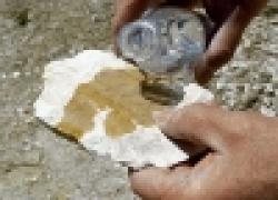 Pozzolan (Natural Cement) $0